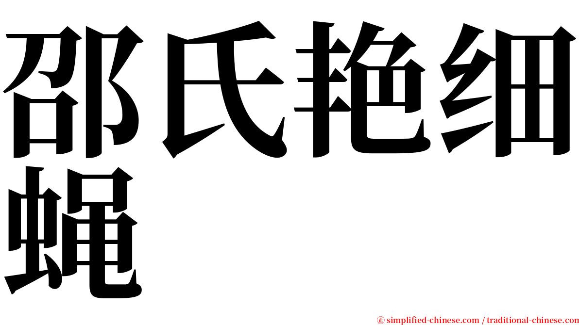 邵氏艳细蝇 serif font