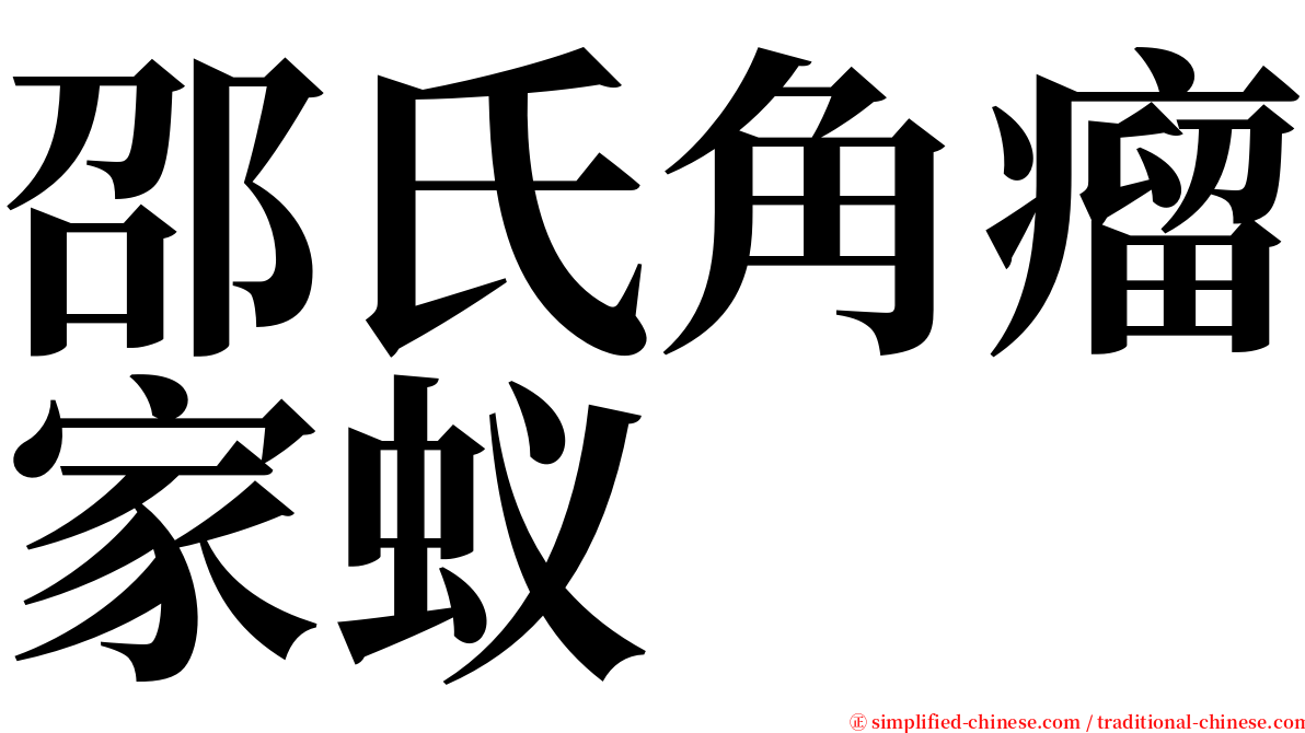 邵氏角瘤家蚁 serif font