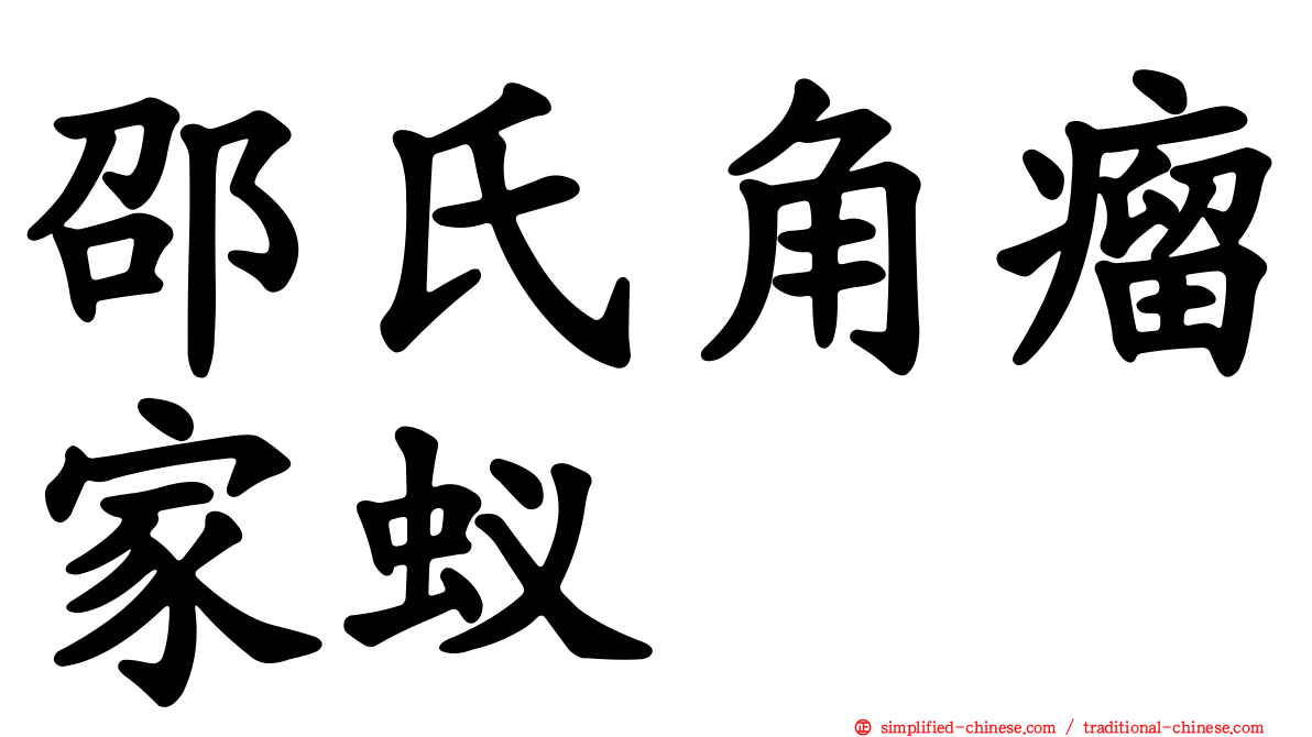 邵氏角瘤家蚁