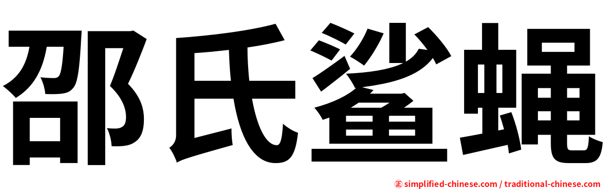 邵氏鲨蝇