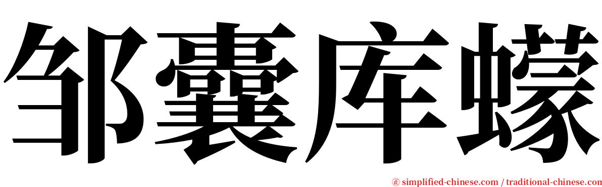 邹囊库蠓 serif font