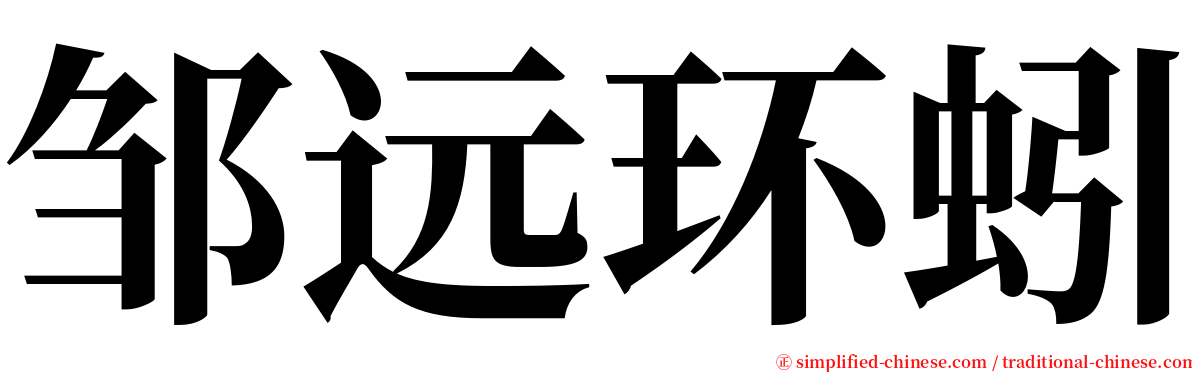 邹远环蚓 serif font