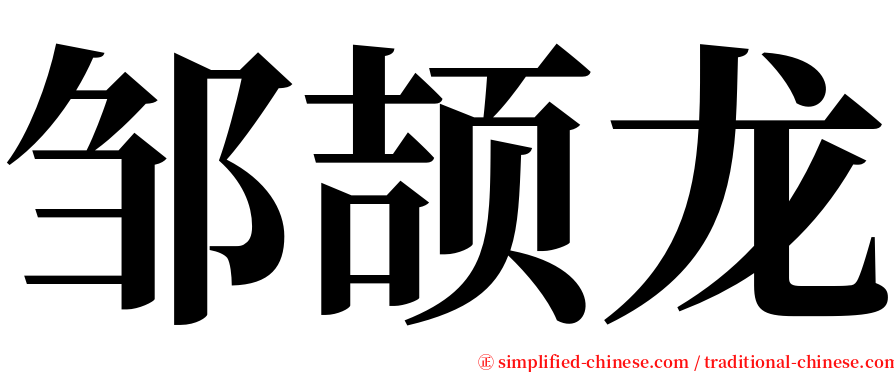 邹颉龙 serif font
