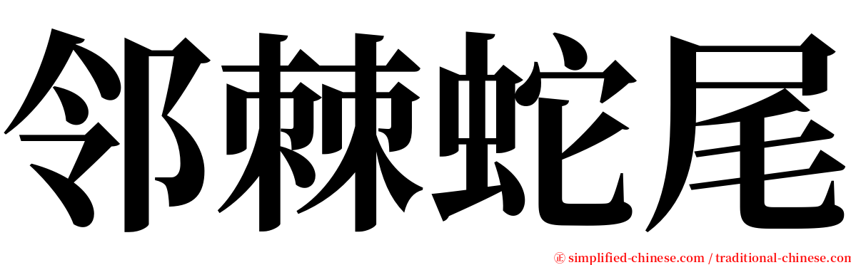 邻棘蛇尾 serif font