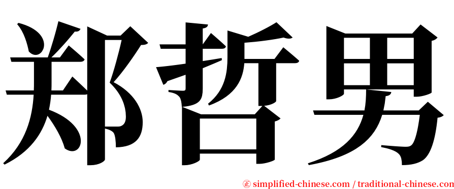 郑哲男 serif font