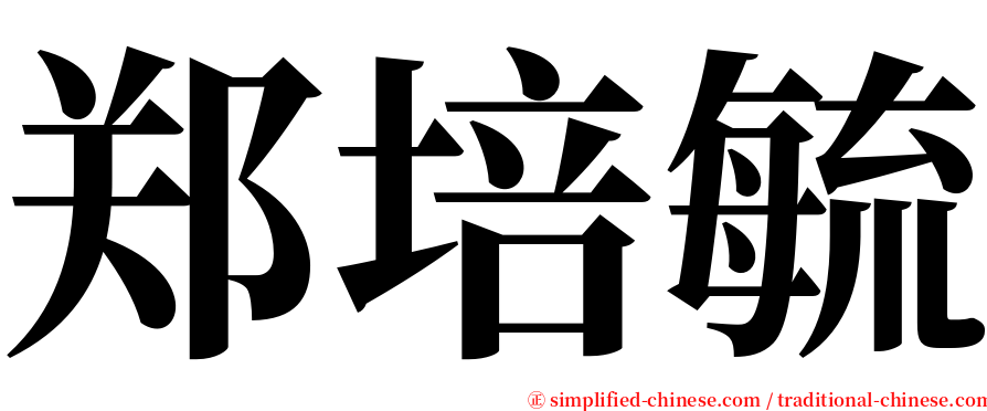 郑培毓 serif font