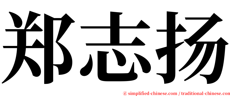 郑志扬 serif font