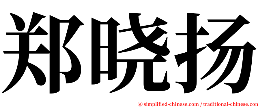 郑晓扬 serif font