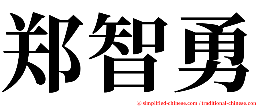 郑智勇 serif font