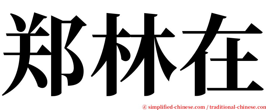 郑林在 serif font