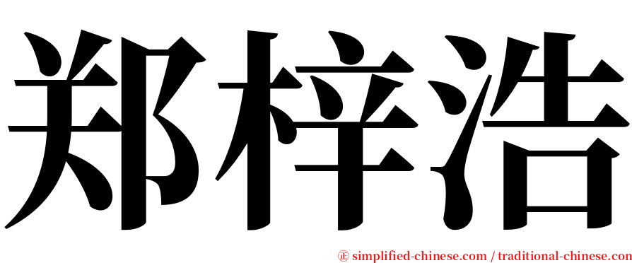 郑梓浩 serif font