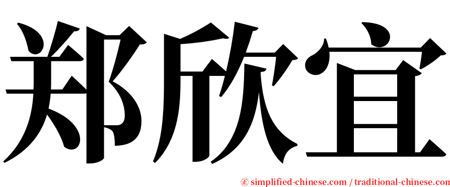 郑欣宜 serif font