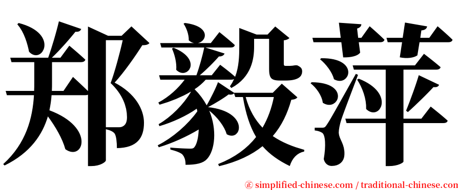 郑毅萍 serif font