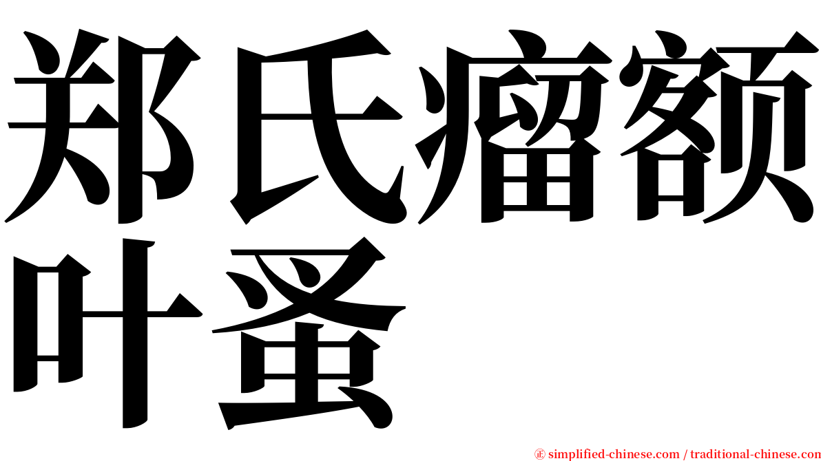 郑氏瘤额叶蚤 serif font