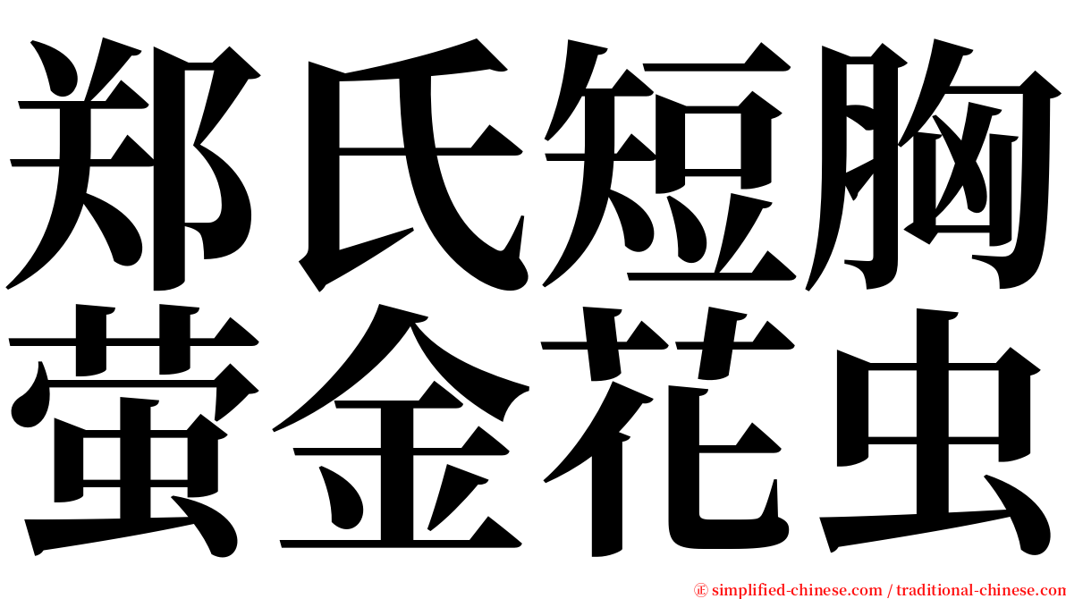 郑氏短胸萤金花虫 serif font