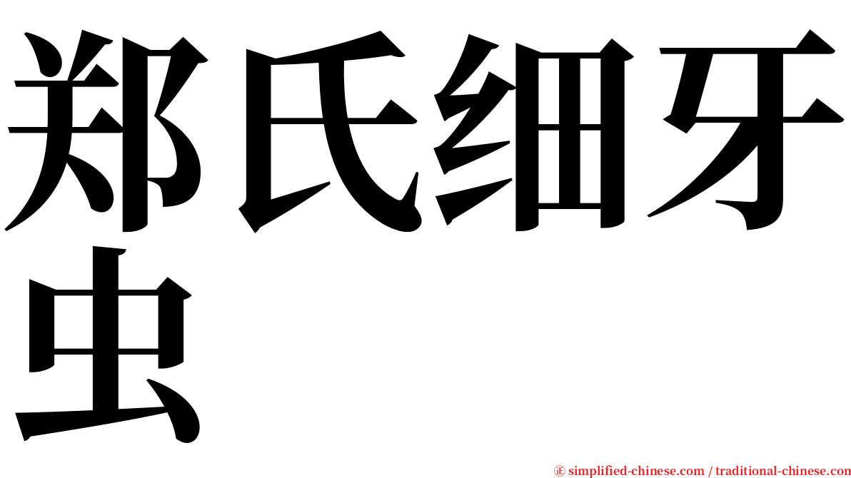 郑氏细牙虫 serif font