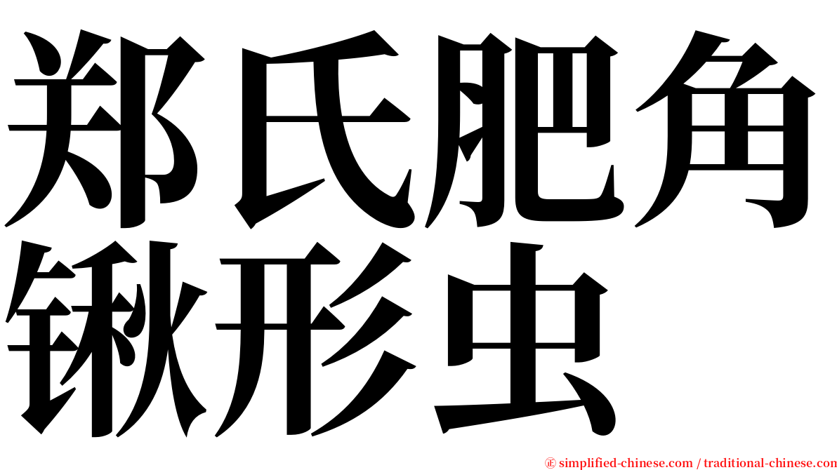 郑氏肥角锹形虫 serif font