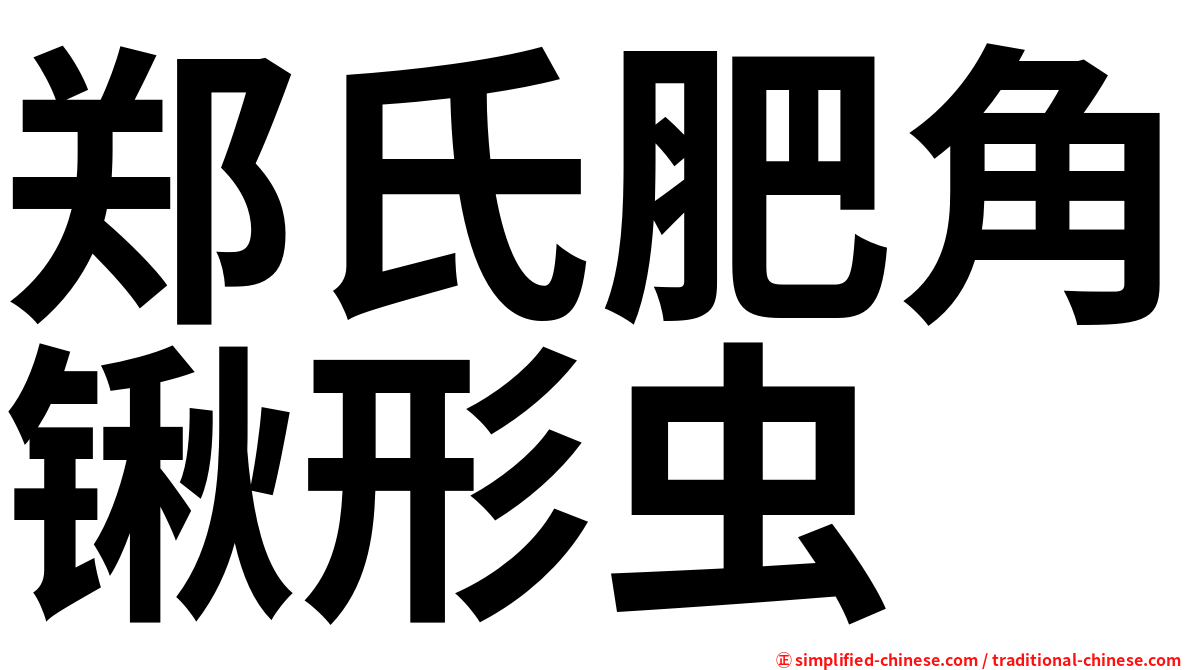 郑氏肥角锹形虫