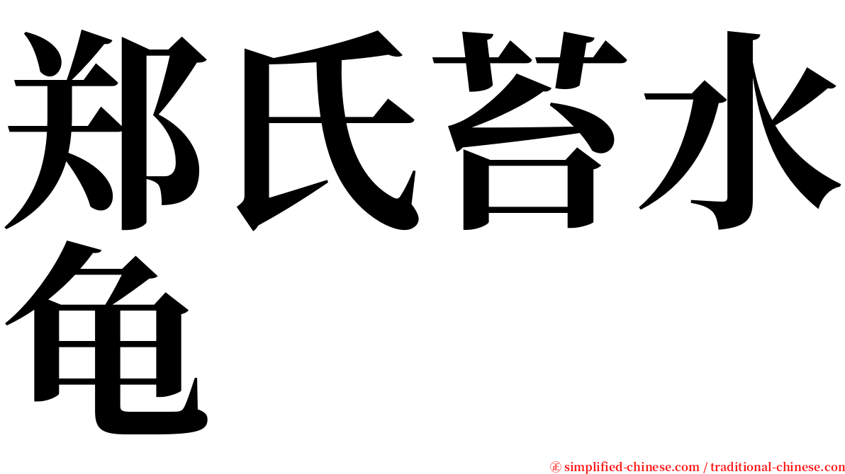 郑氏苔水龟 serif font