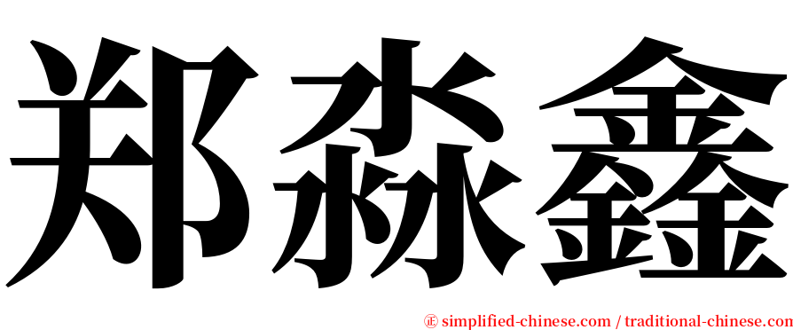 郑淼鑫 serif font