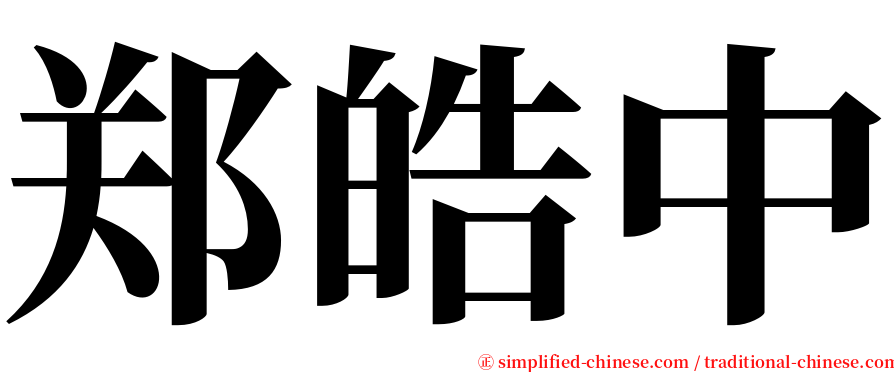 郑皓中 serif font