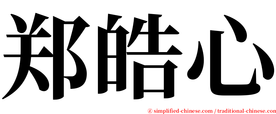 郑皓心 serif font