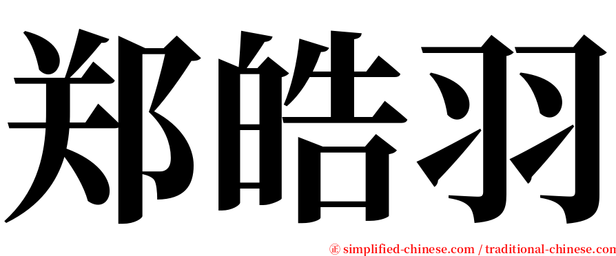 郑皓羽 serif font
