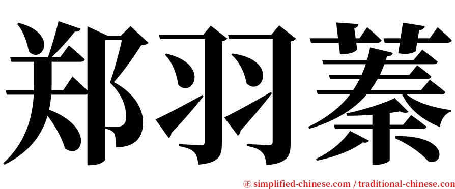 郑羽蓁 serif font