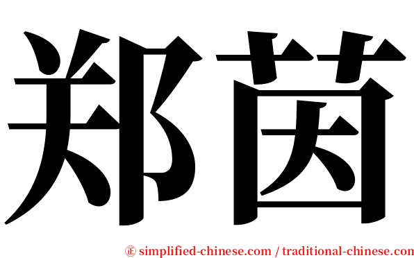 郑茵 serif font