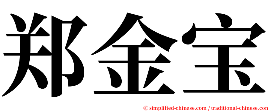 郑金宝 serif font