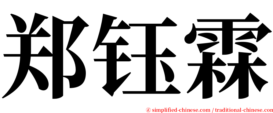 郑钰霖 serif font