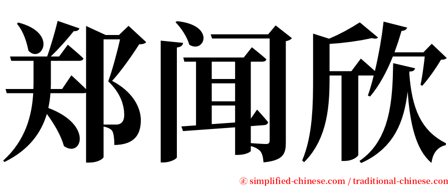 郑闻欣 serif font