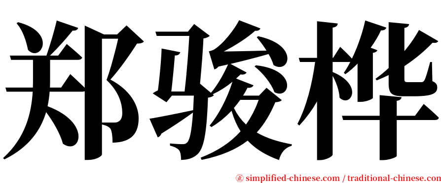 郑骏桦 serif font