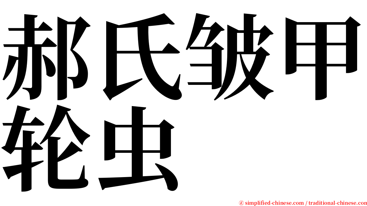 郝氏皱甲轮虫 serif font