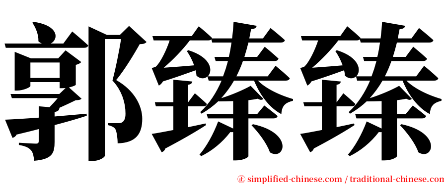 郭臻臻 serif font
