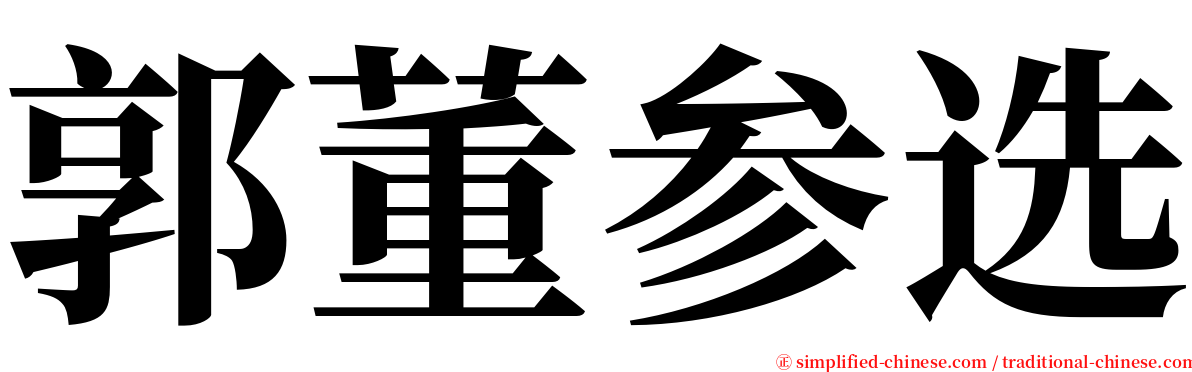 郭董参选 serif font