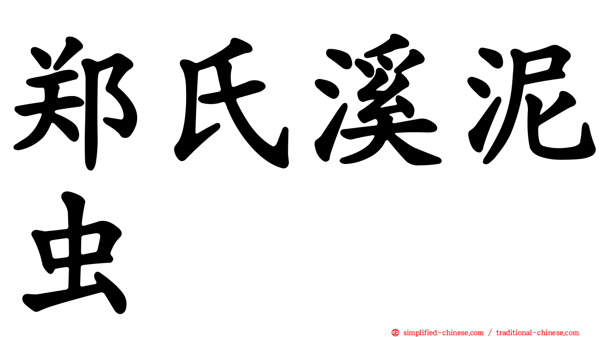 郑氏溪泥虫