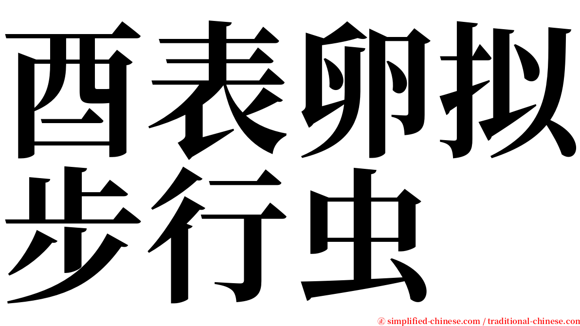 酉表卵拟步行虫 serif font