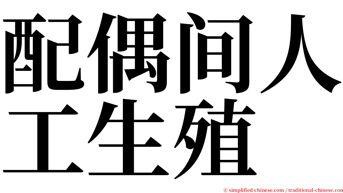 配偶间人工生殖 serif font