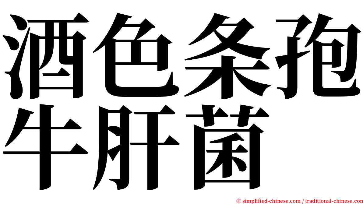 酒色条孢牛肝菌 serif font