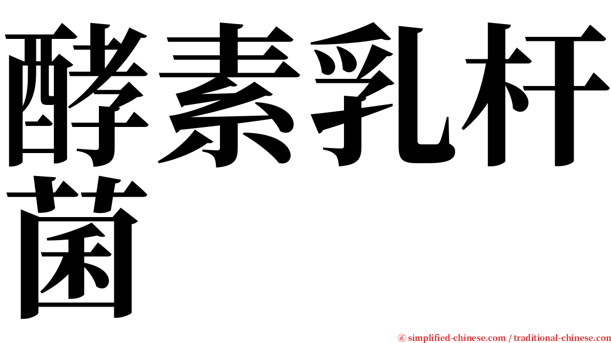 酵素乳杆菌 serif font