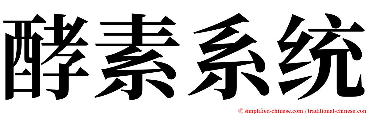 酵素系统 serif font