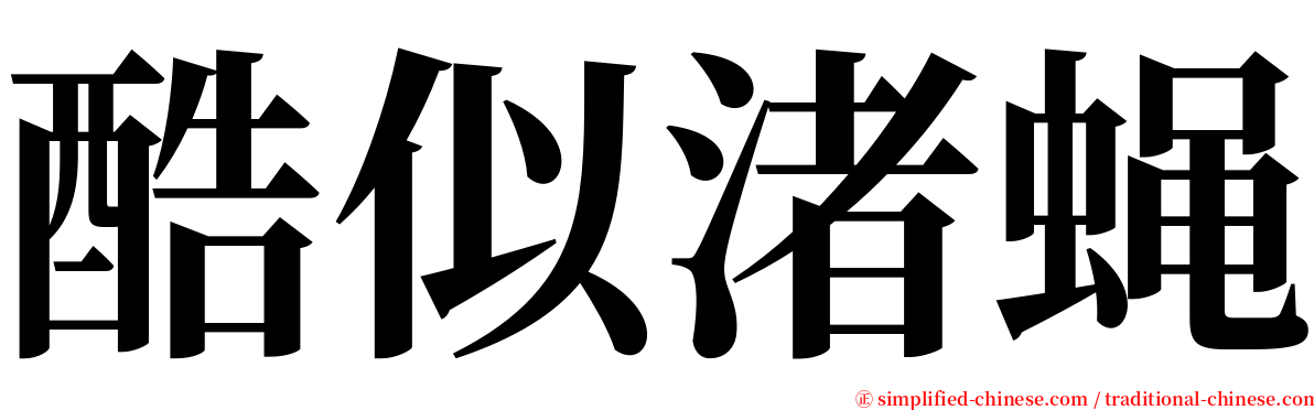 酷似渚蝇 serif font