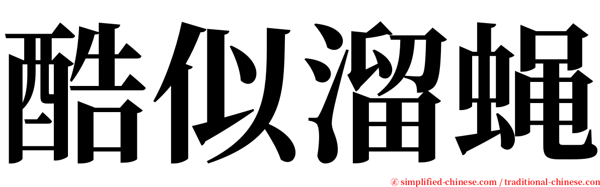 酷似溜蝇 serif font