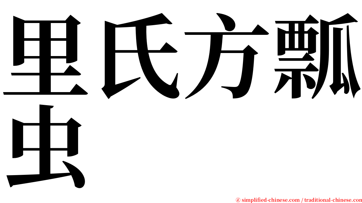 里氏方瓢虫 serif font