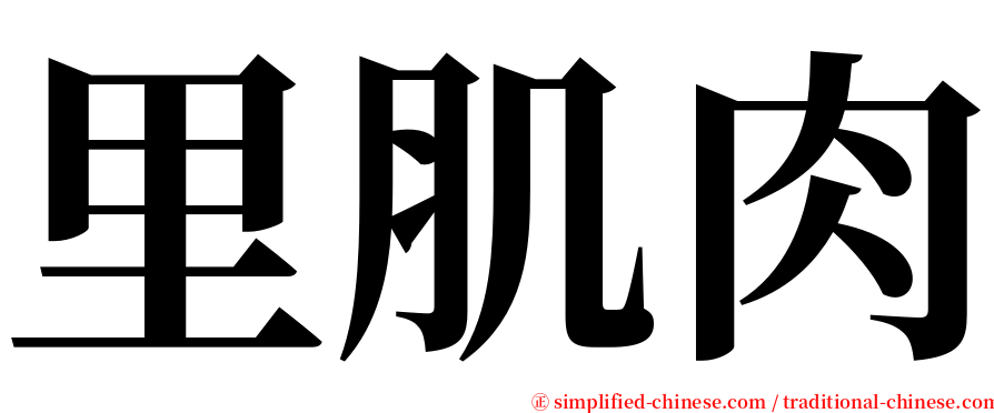 里肌肉 serif font