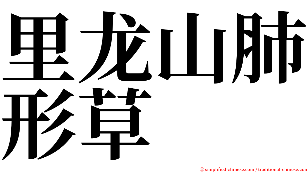 里龙山肺形草 serif font