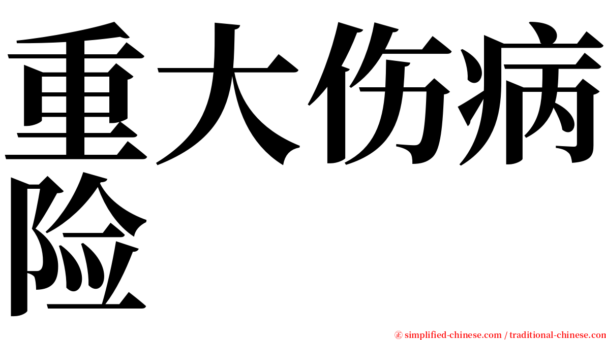 重大伤病险 serif font