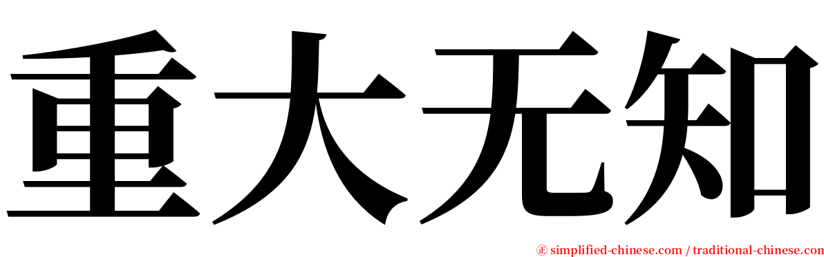 重大无知 serif font