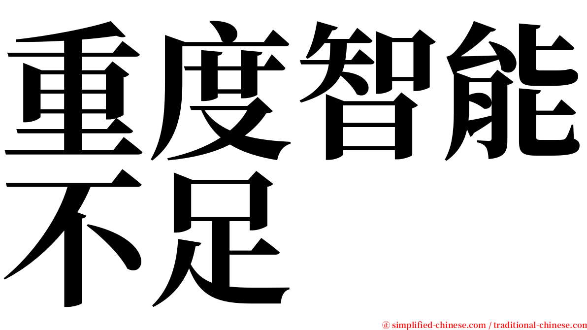 重度智能不足 serif font